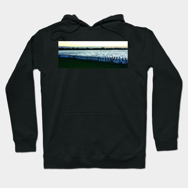 Surfboards resting. Shoreline Park, Mountain View, California 2009 Hoodie by IgorPozdnyakov